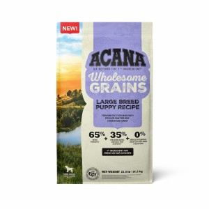 22.5lb Acana Wholesome Grains, Large Breed Puppy Dry Dog Food | 832945JIO