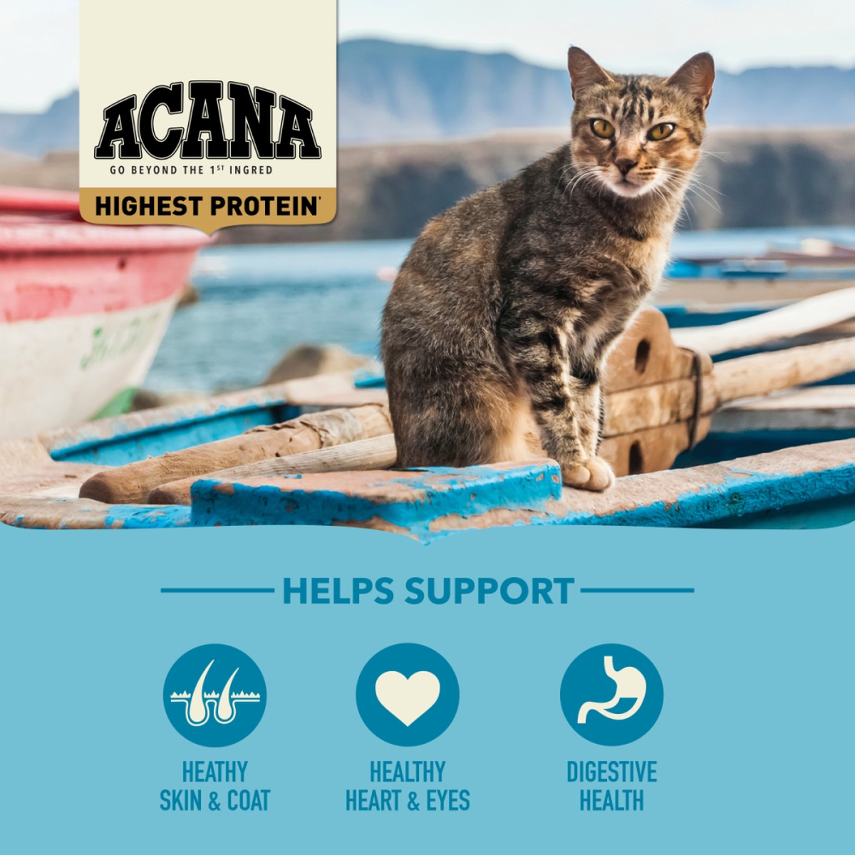 10lb Acana Highest Protein, Wild Atlantic Grain Free Dry Cat Food | 685173ICK