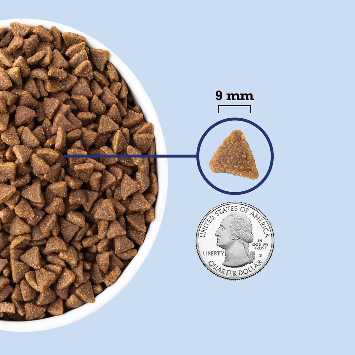 10lb Acana Indoor Entrée with Fish Grain Inclusive Dry Cat Food | 765238IKQ