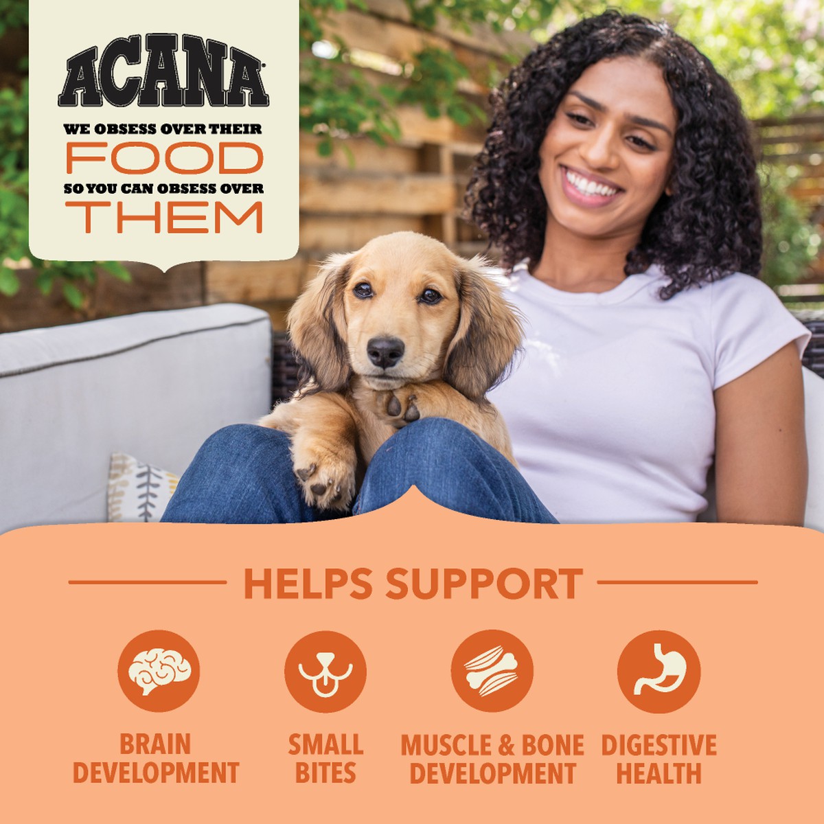 11.5lb Acana Wholesome Grains, Puppy Dry Dog Food | 079612KWA