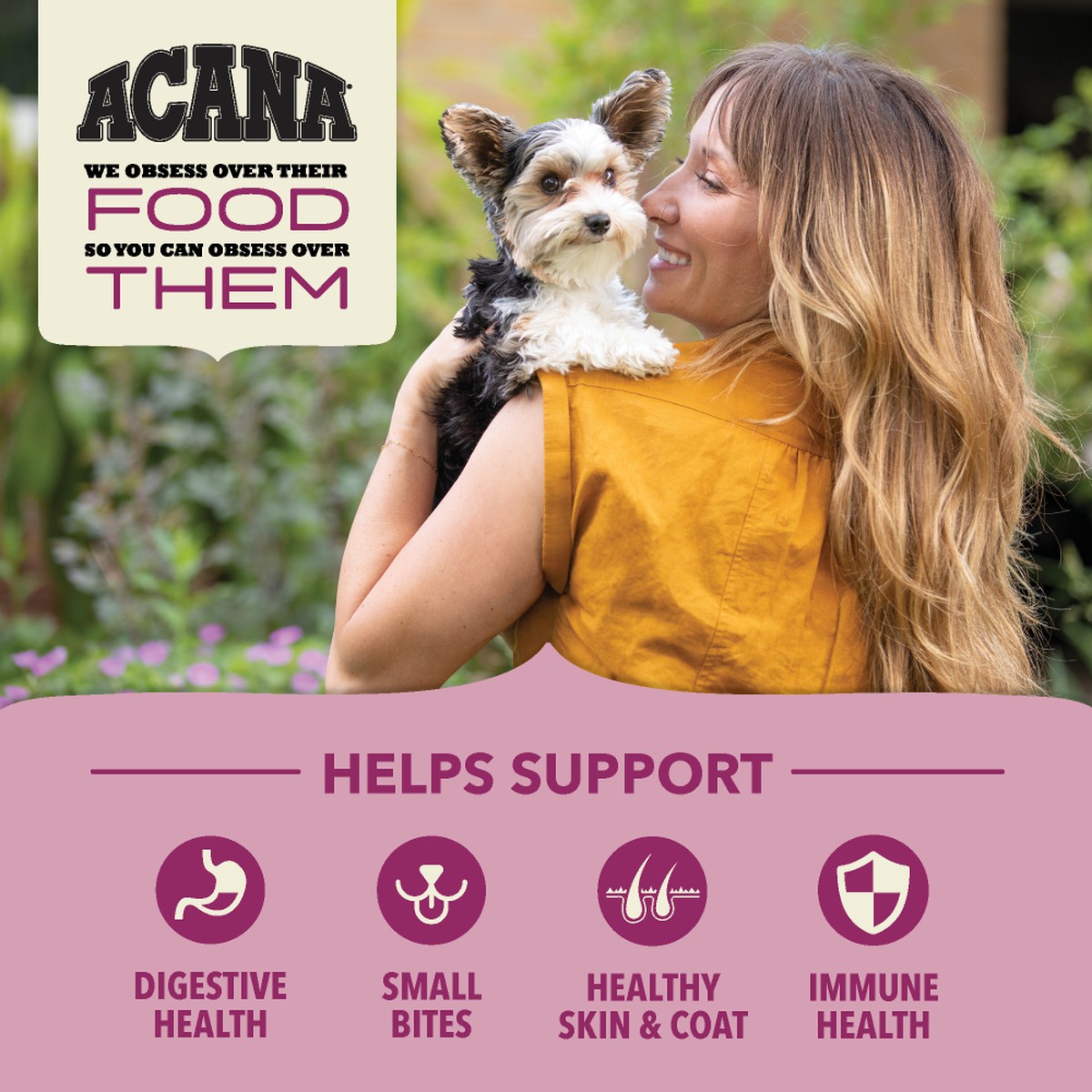 11.5lb Acana Wholesome Grains, Small Breed Dry Dog Food | 582490BFR