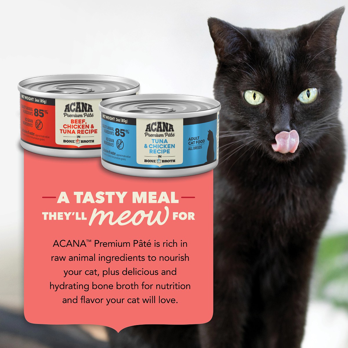 12*3oz Acana ACANA Premium Pâté, Variety Pack, Surf & Turf Grain Free Wet Cat Food | 385967YNA