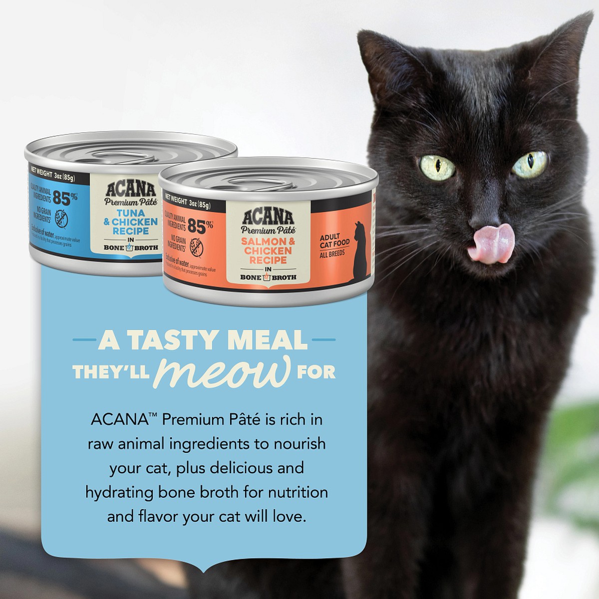 12*3oz Acana ACANA Premium Pâté, Variety Pack Grain Free Wet Cat Food | 043586KXV