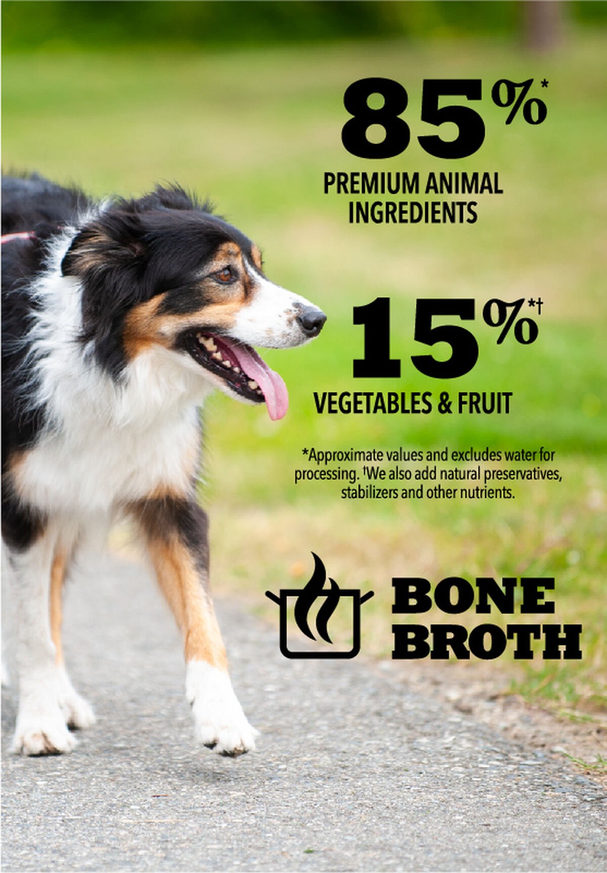 12.8oz*12 Acana ACANA PREMIUM PÂTÉ™, Puppy in Bone Broth Grain Free Wet Dog Food | 287409BQW