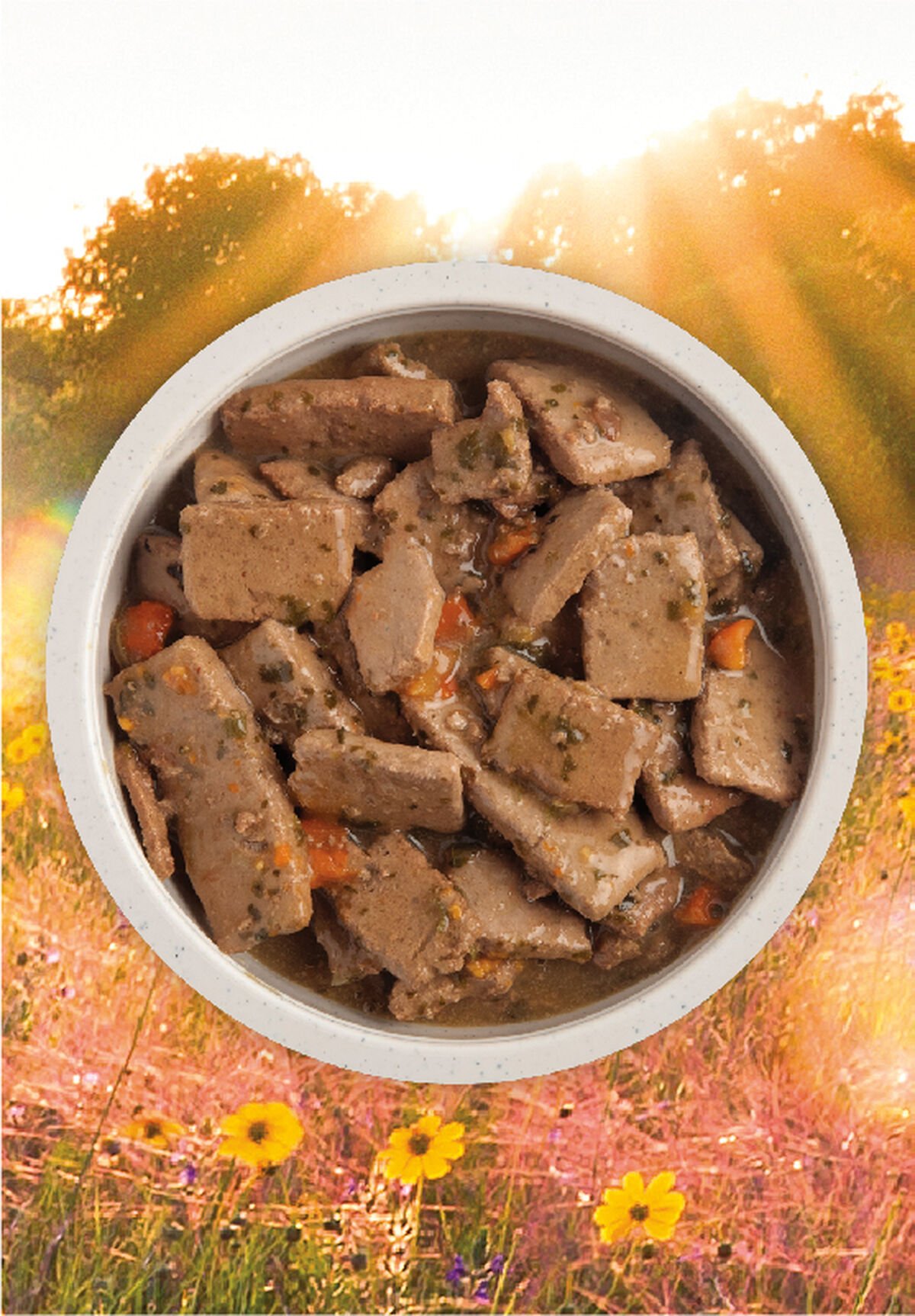 12.8oz*12 Acana Premium Chunks, Lamb in Bone Broth Grain Free Wet Dog Food | 217580FQC