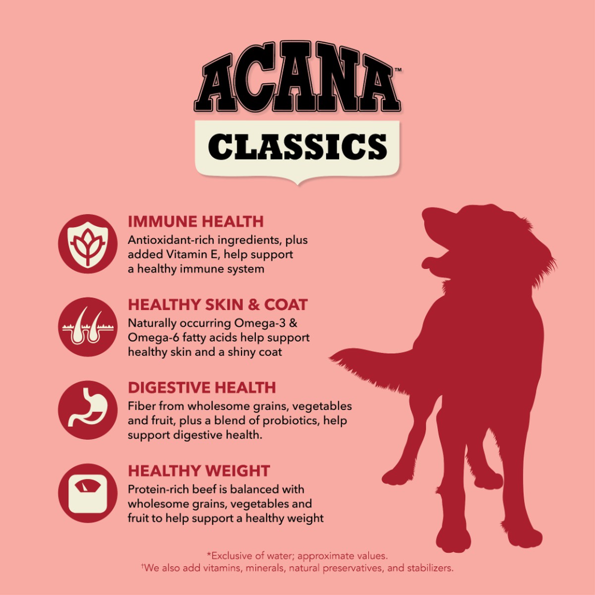 22.5lb Acana Classics, Beef and Barley Grain Inclusive Dry Dog Food | 415869PTH