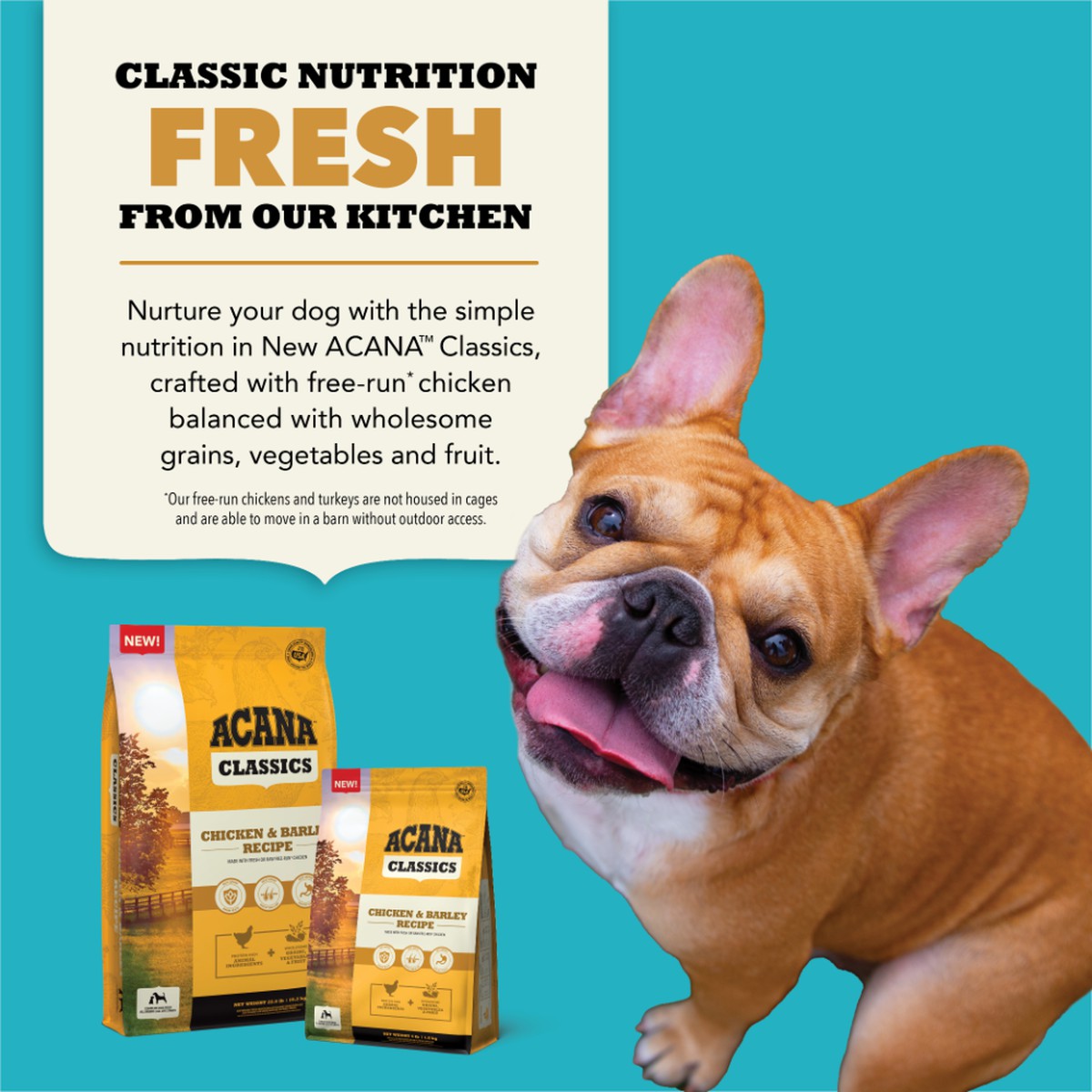 22.5lb Acana Classics, Chicken and Barley Grain Inclusive Dry Dog Food | 602784WNB