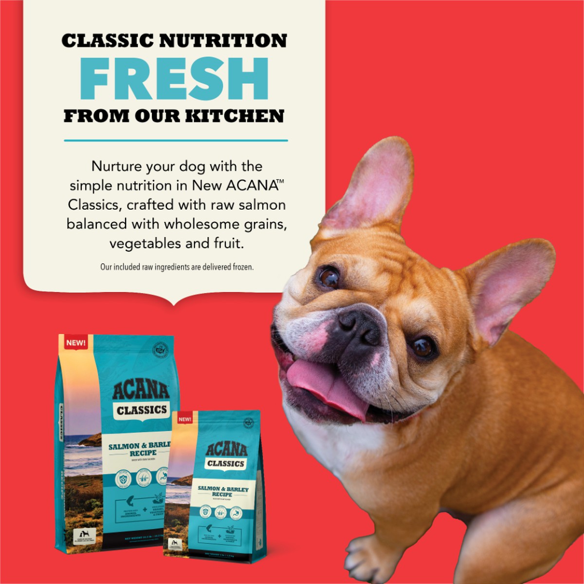 22.5lb Acana Classics, Salmon and Barley Grain Inclusive Dry Dog Food | 627514IBK