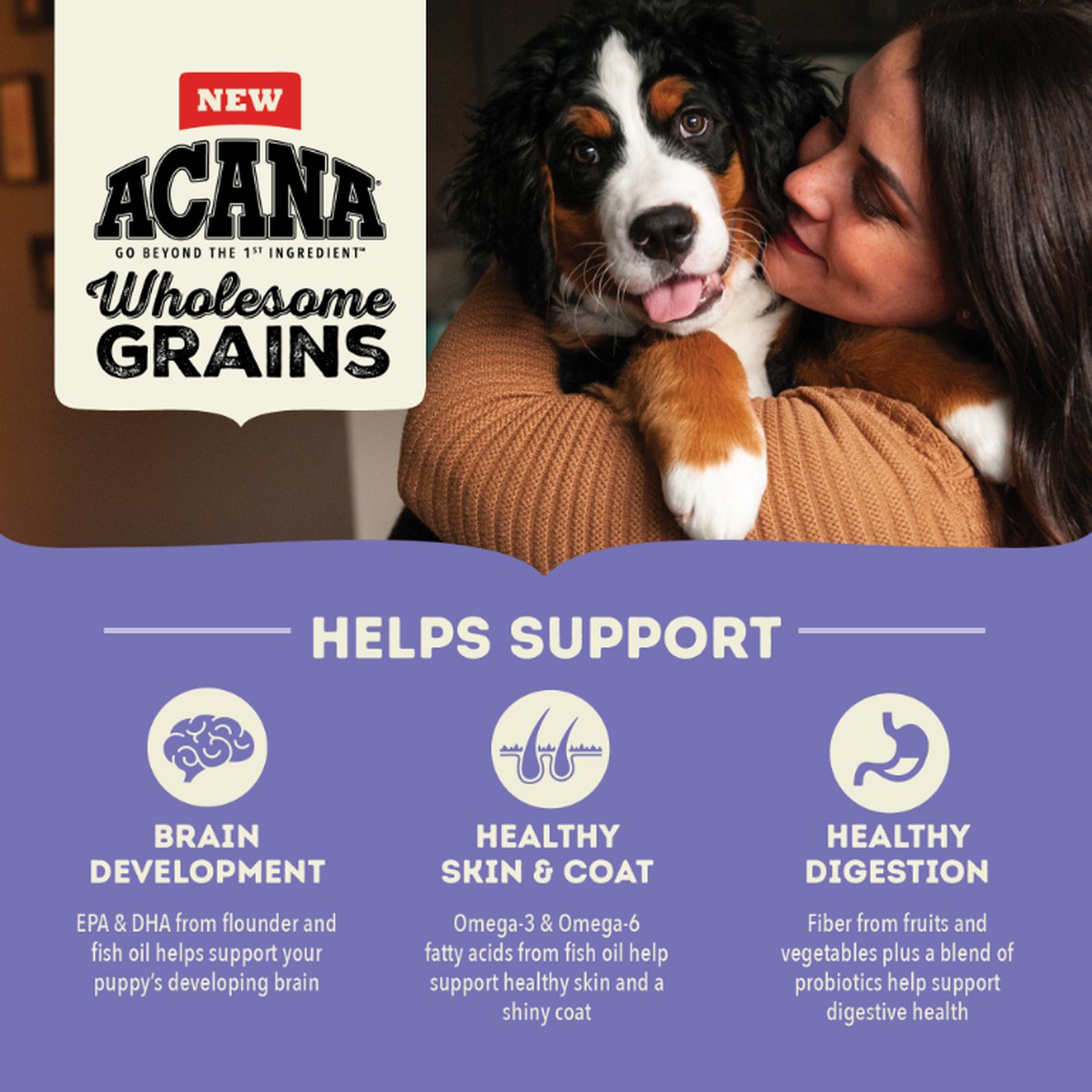 22.5lb Acana Wholesome Grains, Large Breed Puppy Dry Dog Food | 832945JIO