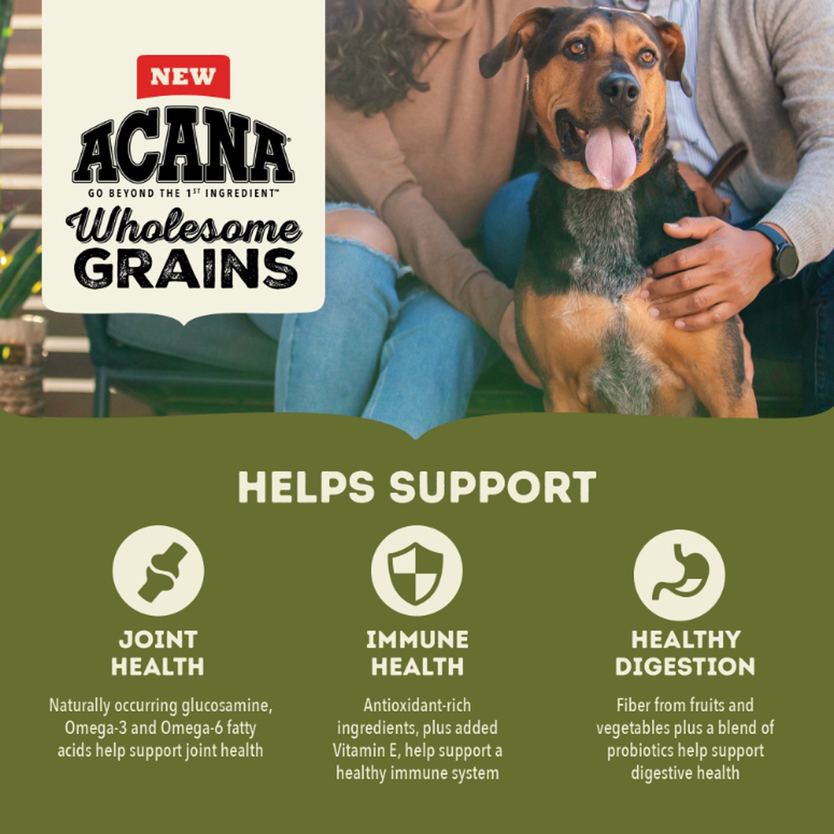 22.5lb Acana Wholesome Grains, Large Breed Adult Dry Dog Food | 362789TVN