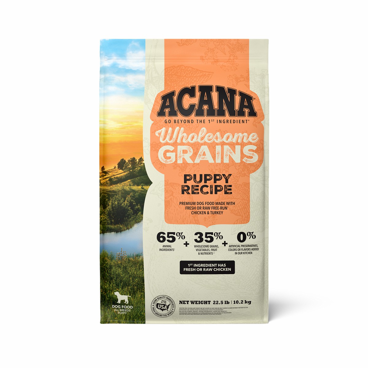 22.5lb Acana Wholesome Grains, Puppy Dry Dog Food | 309621TGC