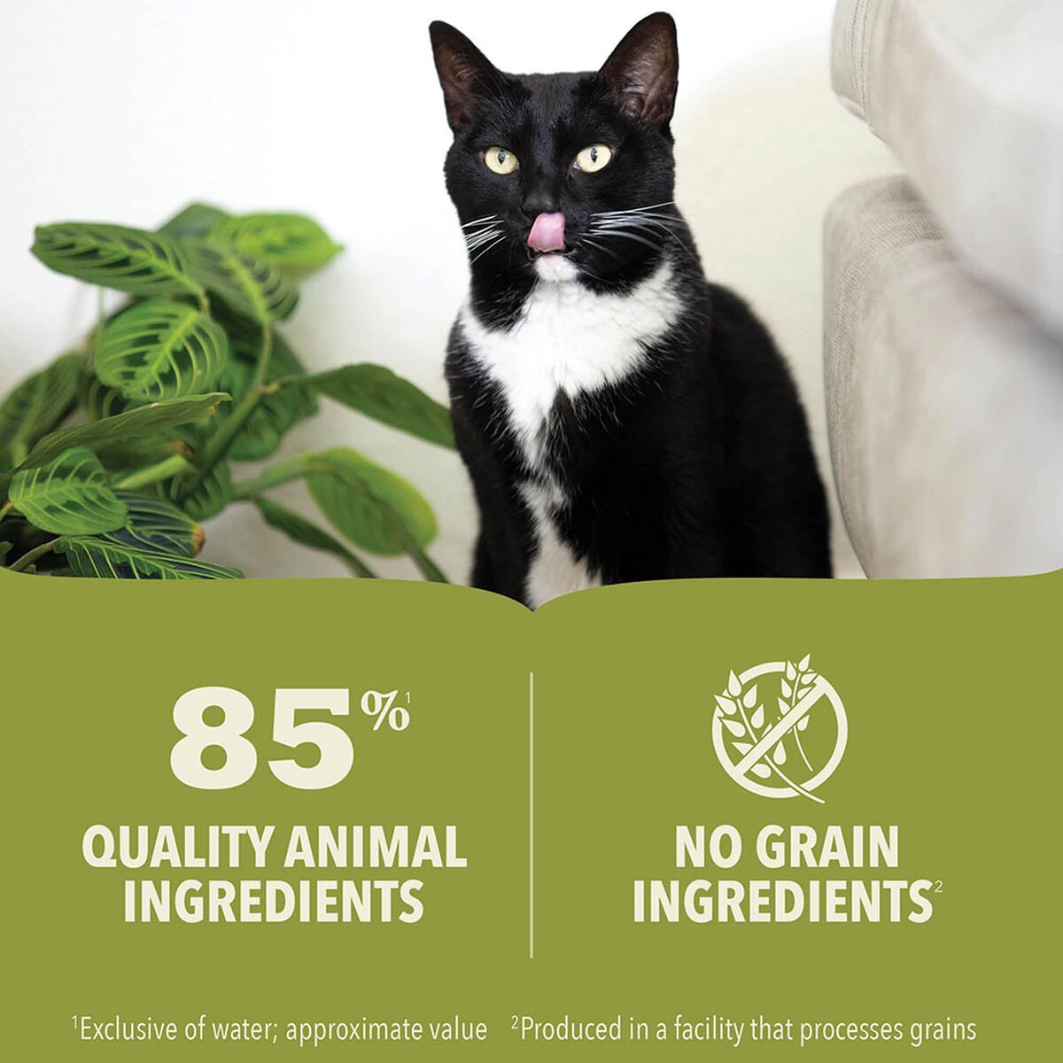 3oz*12 Acana ACANA Premium Pâté, Chicken & Tuna Kitten Grain Free Wet Cat Food | 789614HXE