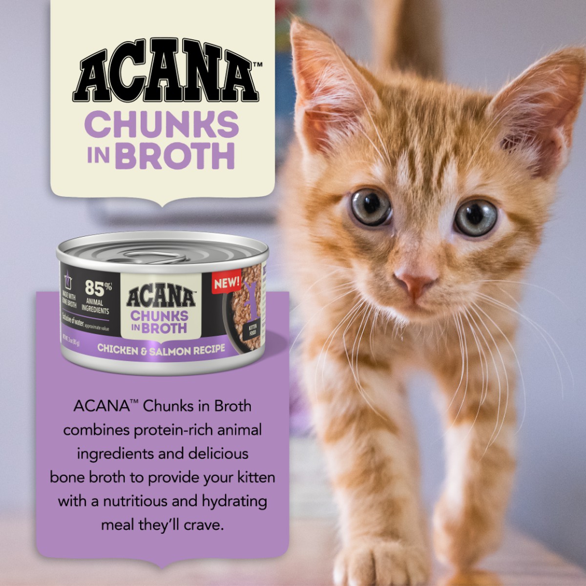 3oz*12 Acana Chunks in Broth Chicken & Salmon for Kittens Grain Free Wet Cat Food | 013729PGA