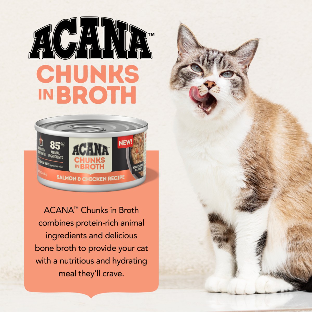 3oz*12 Acana Chunks in Broth Salmon & Chicken Grain Free Wet Cat Food | 173469UEX