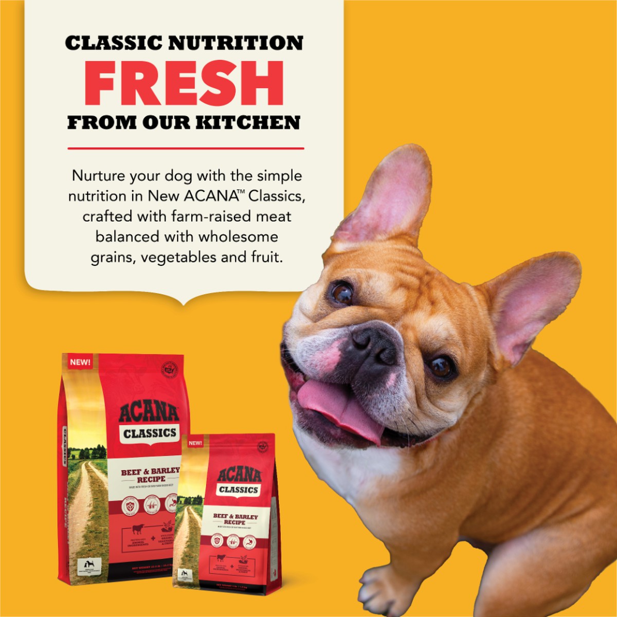 4lb Acana Classics, Beef and Barley Grain Inclusive Dry Dog Food | 326479SFC