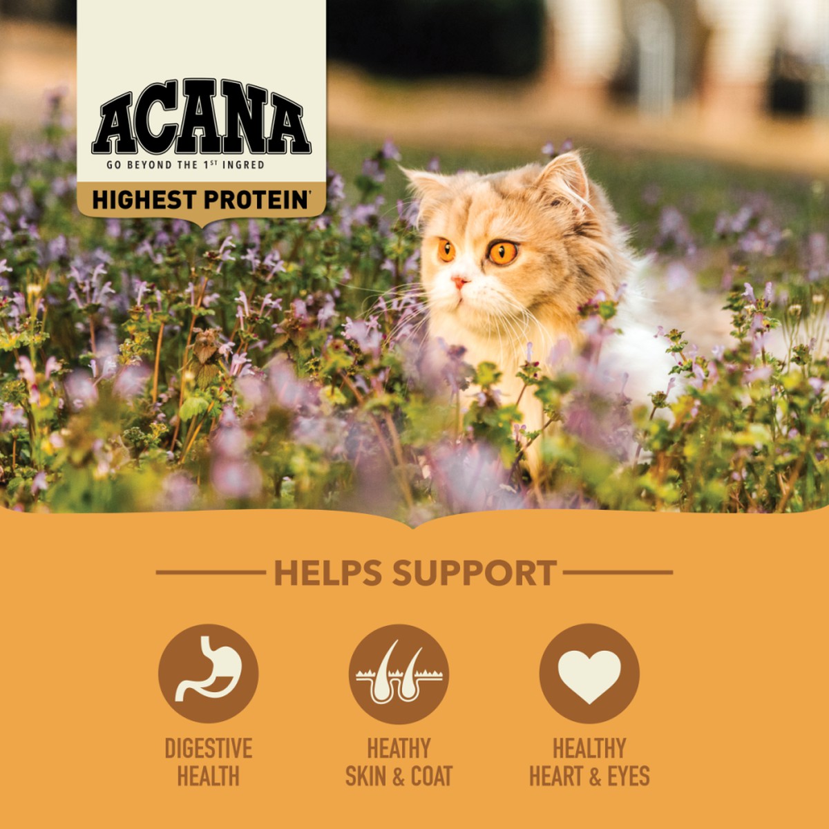 4lb Acana Highest Protein, Meadowlands Grain Free Dry Cat Food | 014792EDO